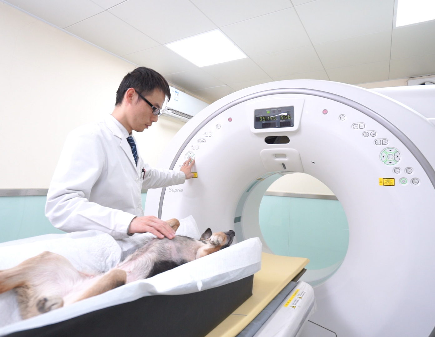 宠物CT诊断设备
