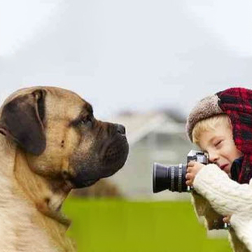 如何给狗狗拍出好看的照片